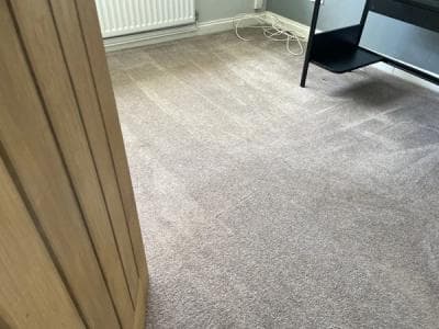 Cleaned carpet